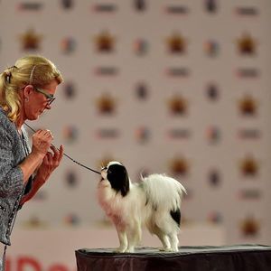 Meet your Posher, Kathleen